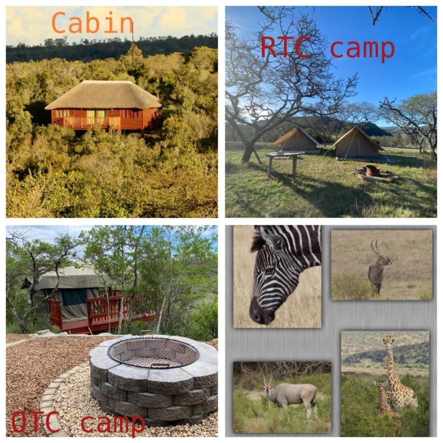 Horseshoe Game Reserve Ист-Лондон Экстерьер фото