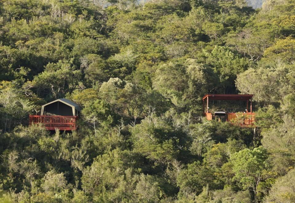Horseshoe Game Reserve Ист-Лондон Экстерьер фото