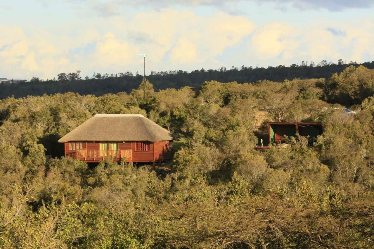 Horseshoe Game Reserve Ист-Лондон Экстерьер фото